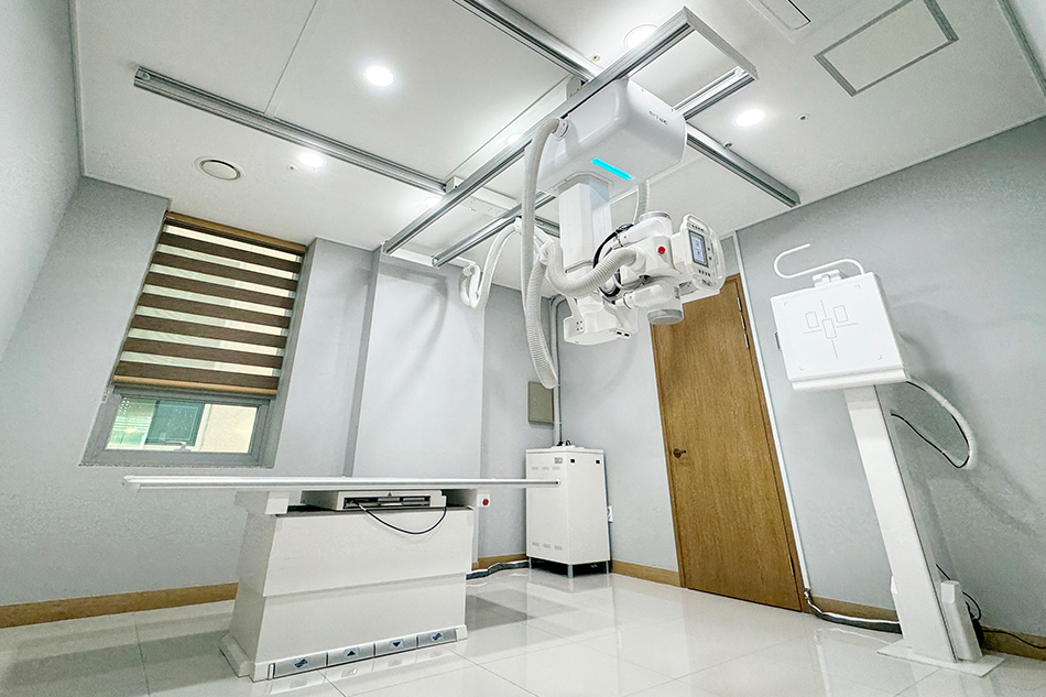 X-RAY (대형)